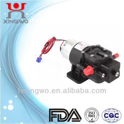 China High Efficiency 12v DC Cooling System Vacuum Pump (DP005A2) for sale