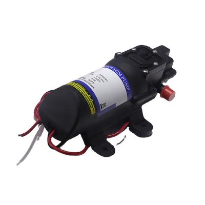 China High Efficiency Diaphragm Pumps Small Water Pump 12/24v DC Agricultural Sprayer Mini Diaphragm Pump for sale