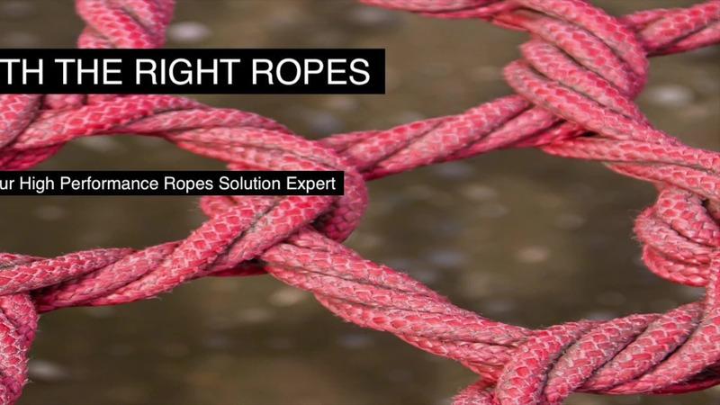 Verified China supplier - Dongguan Shengxin Special Rope Webbing Co., Ltd.