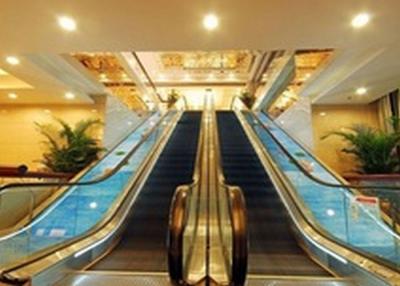 China Brand new indoor escalator with motor overload protetor   -- GRF for sale