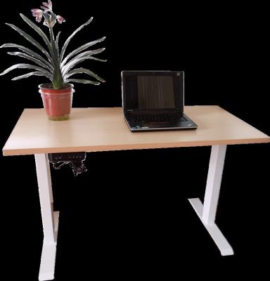 China (height) height adjustable table electric smart lifting desk sit to stand desk adjustable desk for sale