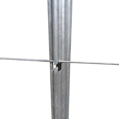 China Easily Assembled Popular Strong Steel Galvanized Vineyard Trellis Post Grape Stakes for sale