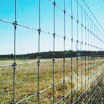 China Easily Assembled Galvanized Mesh Deer Cattle Horse Farm Field Grassland Weaving Fence for sale