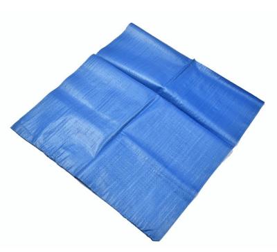 China 25kg 40kg 50kg Blue Polypropylene Plastic Moisture Proof Bread Bagss Packaging Bag for sale