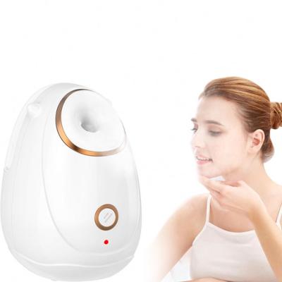 China 2021 Newest Face Steam Beauty Mini DEEP CLEANING Facial Device for sale