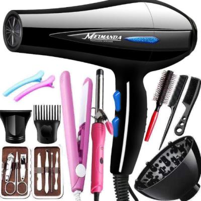 China Electric Fan Ionic Hair Dryer Factory Price Home Appliances for sale