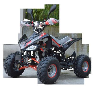 China 110cc atv125cc mini atv coad motorcycle for kids 7 inch for sale