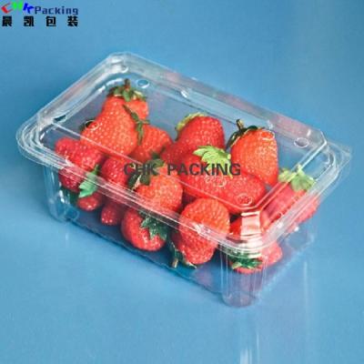 China Eco Friendly Custom Food Containers PVC Plastic Tray Box Packaging Compostable Food PP Clamshell Round Pet for sale