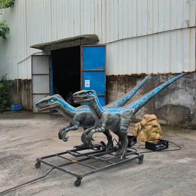 China High Density Foam Animatronic Velociraptor and Simulation Dinosaur Voice Operated Model for Park for sale