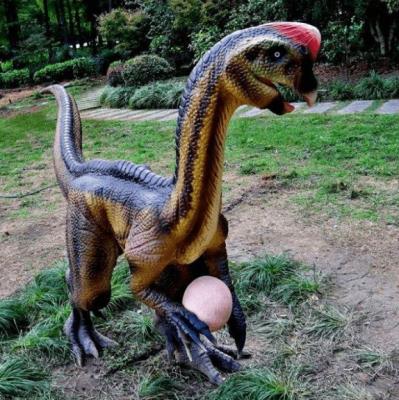 China High Density Foam Animatronic and Simulation Oviraptor Dinosaur Model for sale