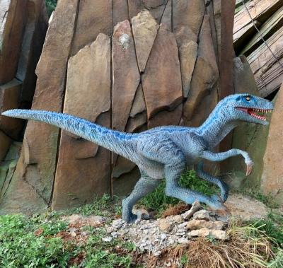 China High Density Foam Animatronic and Simulation Velociraptor Dinosaur Model for sale