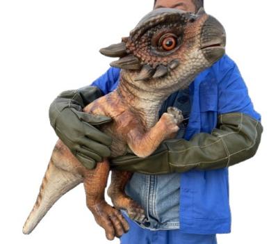 China Realistic Amusement Park Dinosaur Baby Pachycephalosaurus Hand Puppet Dinosaur Products for sale