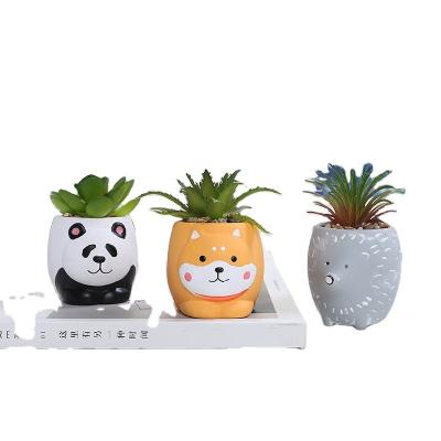 China Creative Ceramic Animal Ceramic Small + Potted Small Succulent Plant Suit for Home + Office… Easy to Clean for sale