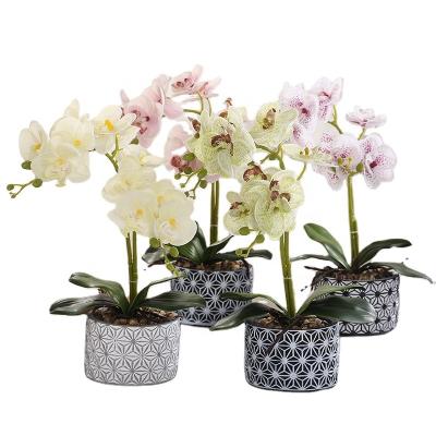 China Clay Creative Imitation Artificial Phalaenopsis + Geometric Cement Basin Suitable for Office Home Hotel Bar for sale