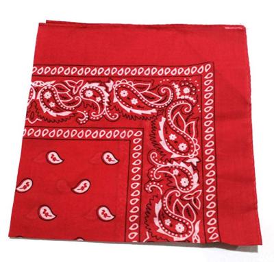 China New Cotton Material 2021 Cotton Material 2021 Hip-Hop Paisley Bandana Square Scarf 100% Printed Headband For Women/Men/Boys for sale