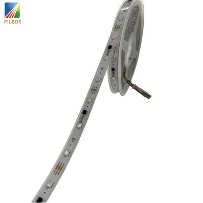 China Other 30led/m Ws2811 Led Light Strip RGB Led Strip Ucs1903 5050 Programmable Accessible Led Strip for sale