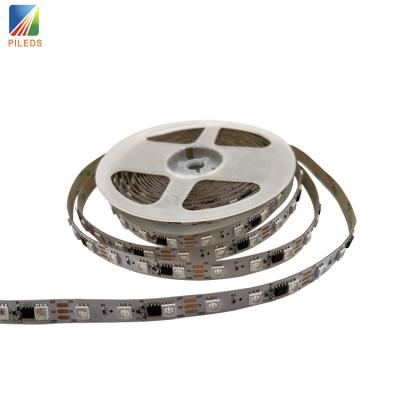 China Factory direct LANDSCAPE ws2811 ucs1903 RGB led light led strips smart strip lights for sale