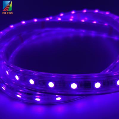 China SCAPE ucs512 Dmx512 Led Neon Light Pool Ip68 Waterproof Lights Flexible Lighting Strip for sale