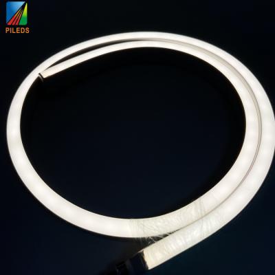 China Other IP68 12/24V Neon Led Light Waterproof Red Blue 5050 Led Strip Light 2835 120Led/m Silicone Tube Home Decoration Neon Lamp for sale