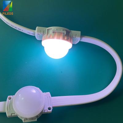 China RGB String Pixel Light IP68 Addressing 12V Point Source Pixel Dot 30Mm Cover Multicolor Milky Belt Patta Smart RGB Led Dot Light for sale