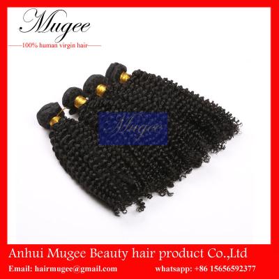 China best curly hair product virgin human malaysian hair beautiful malaysian hair for women for sale