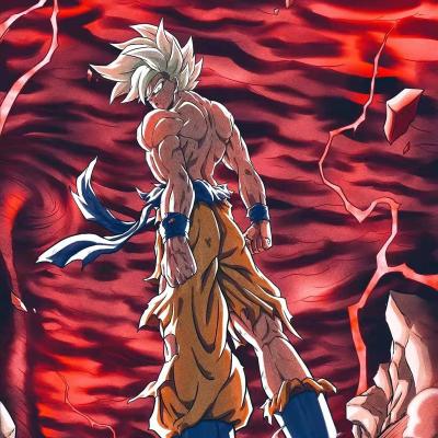 China 6Characters The World Famous Japanese Anime Dragon Ball Poster Goku Vegeta Outlined Prints On The Canvas Wall Art Home Decor for sale