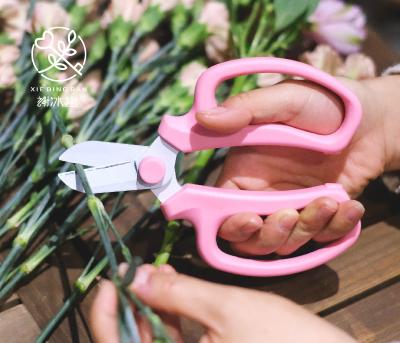 China Stylish Comfortable Sharp Light Weight Handle Garden Tools Cut Flower Scissors Beautiful Scissors for sale