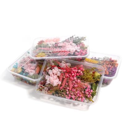 China 1 Box Eco-Friendly Preserved Eterna Epoxy Resin Necklace Pendant Craft Floral Natural Dried Plant Dried Flowers For Resin Jewelry for sale