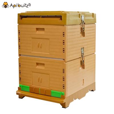 China Plastic Langstroth Langstroth Polypropylene Bee Hives With Thermohygrometer Beehive Beekeeping Equipment Tool Beekeeper Supplies for sale