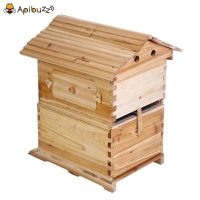 China Self Automatic Honey Flowing Chinese Wax-Coated Cedar Wood Honey Bee Hive Auto Hive and 7 Frame Automatic Beekeeping Beekeeping Equipment Tool Hive for sale