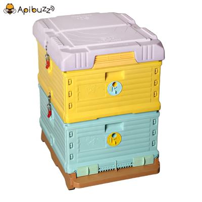 China Langstroth 2-Layer 10-Frame Heat Preservation Plastic Thermo Beehive Box Hive For Beekeeping Equipment Tools Beekeeping Supplies Apicultura for sale