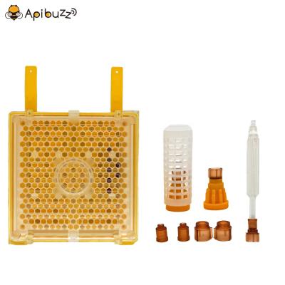 China Beekeeping Jenter Queen Bee Starter Kits System Beekeeping Equipment Supplies Beekeeping Apicultura Imkereibedarf Apicol Apicoltura for sale