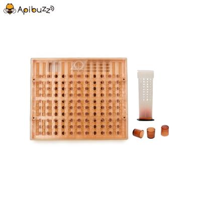 China Beekeeping Queen Bee Raising Starter Kits Nicot System And Hair Roller Cages Beekeeping Apicultura Cupularve Apicoltura Beekeeping Equipment for sale