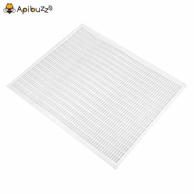 China Plastic Beekeeper Equipment Bee Hive Queen Bee Excluder Bee Farm Beekeeping Tools Supplies Beekeeping Apicultura for sale