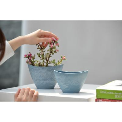 China Eco-friendly Art Decor Greenship Plant Indoor Decorative Succulent Pot for sale