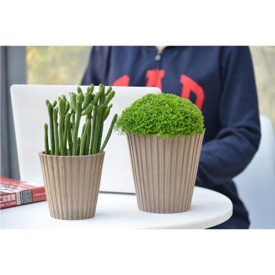 China Greenship Eco-friendly Indoor Outdoor Decorative Succulent Plastic Casual Planter Small Pot for sale