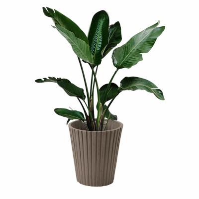 China Art Decor Greenship Classic Round Recycled Plastic Flowerpot Self Watering Pot And Planters For Indoor Plants for sale