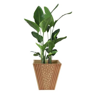 China Art Decor Greenship Outdoor Indoor Garden Plastic Black White Flower Pots and Planters Pots Wholesale Planter for sale