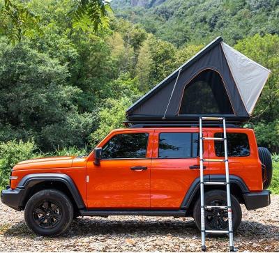 China Extended Type Custom Aluminum Top Tent Motorhome Tent Aluminum Roof Top Tent 12cm for sale