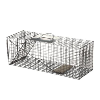 China Safely Captures Squirrel Cages Hot Selling High Quality Wound Lab Animal Trap Cageless Boring Pests for sale