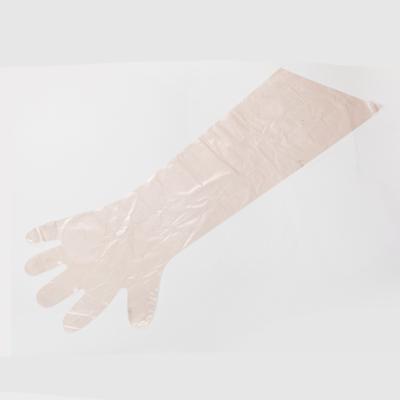 China 60%EVA+40%PE. Hot Selling Veterinary Veterinary Gloves Artificial Insemination Pe PVE Long Sleeve Shoulder Length Veterinary Insemination Gloves for sale