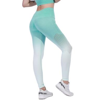 China Ombre Activewear SS21 Seamless Gaiters Colorful Seamless Breathable Fitness Wear Workout Legging for sale