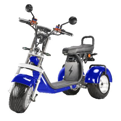 China Design 1500w 2000w Unisex Professional Electric Tricycle Electric Scooter Cargo Bike Adults for sale