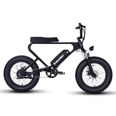 China Amoto Electric Bike Motorcycle Unisex Single Design 300w 36v Dual Motor For Adults for sale