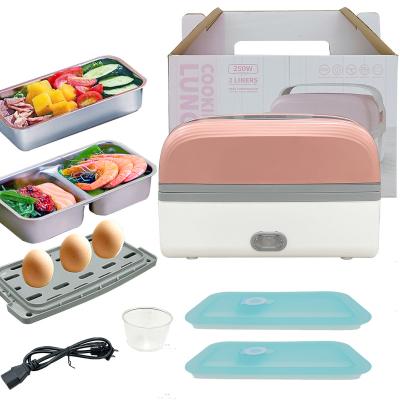 China Household Electric Lunch Box Portable Egg Heater Double Layer Lunch Box Steamer 304 Stainless Steel Material for Office, S for sale