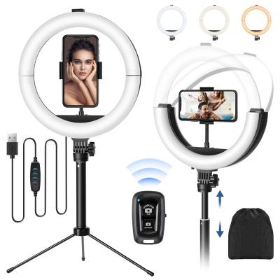 China 10 PORTABLE Selfie Inch Foldable Led Ring Fill Light With Tripod Stand Phone Holder With Microphone For Photography Makeup YouTube for sale