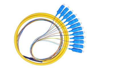 China SCUPC 12 core 9 / 125 Fiber Optic Pigtail G652D OS2 Bundle Fanout Pigtails for sale