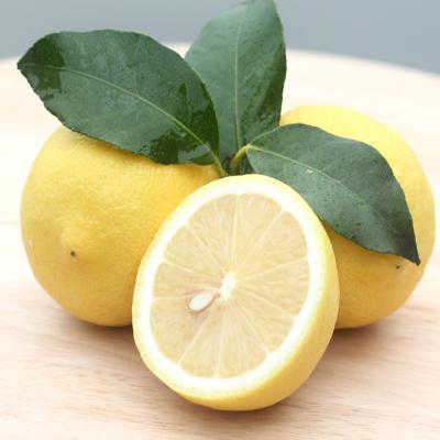 China Wholesale Fresh Sichuan Fresh Eureka Lemon for sale