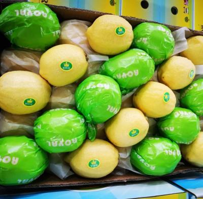 China Wholesale Hot Cheap Wholesale Fresh ANYUE Fresh Frozen Yellow Lime Fruit Price Account Seedless Lemons for sale