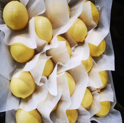 China Wholesale Cheap High Quality Hot Selling Fruit Account Sweet Fresh Lemon Dimension Fresh Yellow And Lime Fresh Seedless Lemons for sale